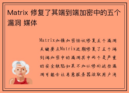 Matrix 修复了其端到端加密中的五个漏洞 媒体